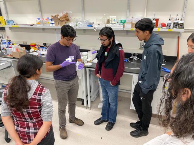 The Soft, the Squishy, and the Self-Assembling